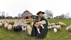 Landscapes nature fisheye effect