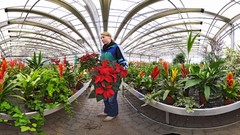 Landscapes nature fisheye effect