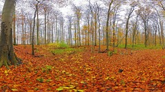 Landscapes nature fisheye effect
