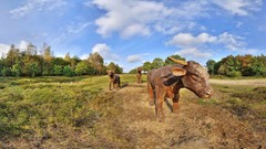 Landscapes nature fisheye effect