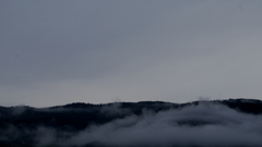 Landscapes nature fog