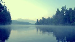 Landscapes nature fog