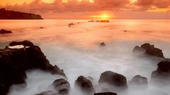 Landscapes nature fog