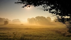 Landscapes nature fog
