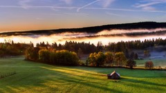 Landscapes nature fog