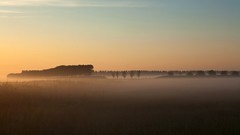 Landscapes nature fog