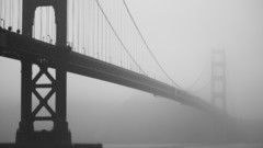 Landscapes nature fog golden