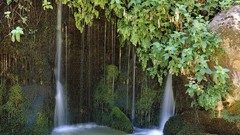 Landscapes nature foliage Utah Zion National Park national park