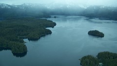 Landscapes nature forest fog