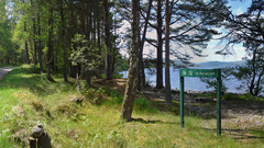 Landscapes nature forest multiscreen