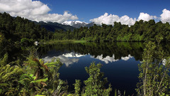 Landscapes nature forests