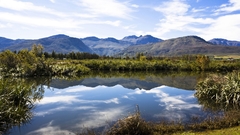 Landscapes nature forests