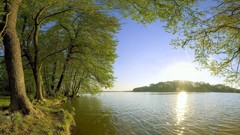 Landscapes nature forests