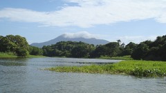 Landscapes nature forests