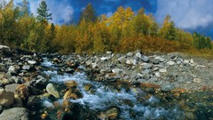 Landscapes nature forests