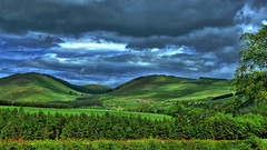 Landscapes nature forests