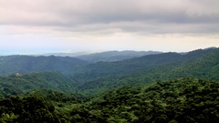 Landscapes nature forests