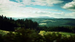 Landscapes nature forests