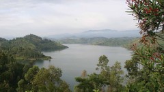 Landscapes nature forests