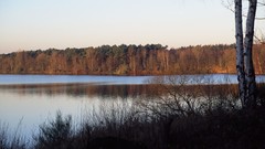 Landscapes nature forests