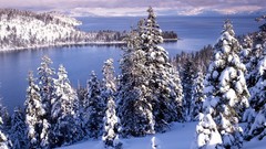 Landscapes nature forests