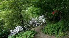 Landscapes nature forests