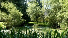 Landscapes nature forests