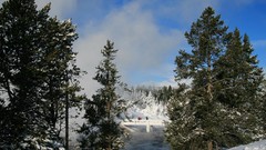 Landscapes nature forests