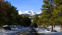 Landscapes nature forests