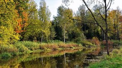 Landscapes nature forests