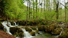 Landscapes nature forests