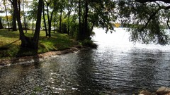 Landscapes nature forests