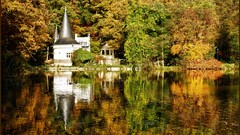 Landscapes nature forests