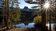 Landscapes nature forests