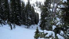 Landscapes nature forests