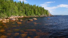 Landscapes nature forests