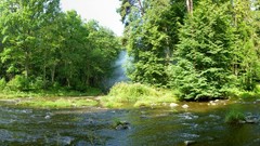 Landscapes nature forests