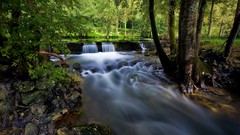 Landscapes nature forests