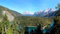 Landscapes nature forests