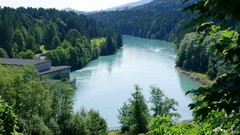 Landscapes nature forests