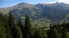 Landscapes nature forests