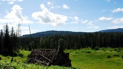 Landscapes nature forests