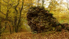 Landscapes nature forests