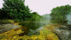 Landscapes nature forests