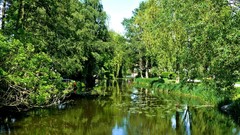 Landscapes nature forests