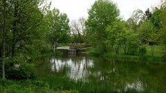 Landscapes nature forests