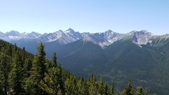 Landscapes nature forests