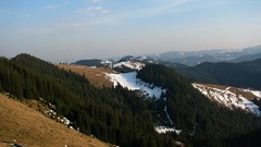 Landscapes nature forests