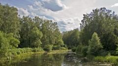 Landscapes nature forests