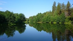 Landscapes nature forests